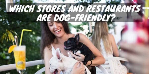 Dog friendly stores and restaurants