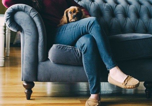 Dogs Sit on Feet Because They're Anxious