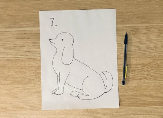 How to draw a dog step 7 - draw his underbelly