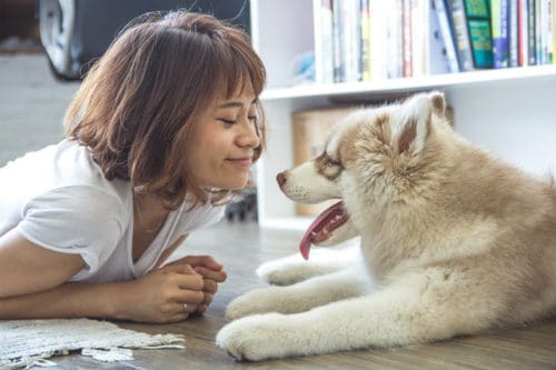 5 Reasons Why Female Dogs Hump