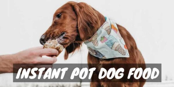 Instant Pot Dog Food