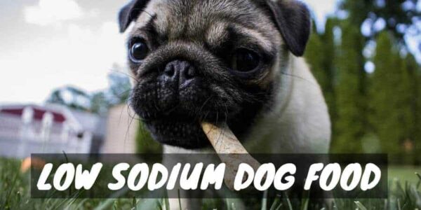 Low Sodium Dog Food