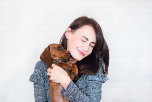 4 Reasons W/hy Dogs Lick Your Face
