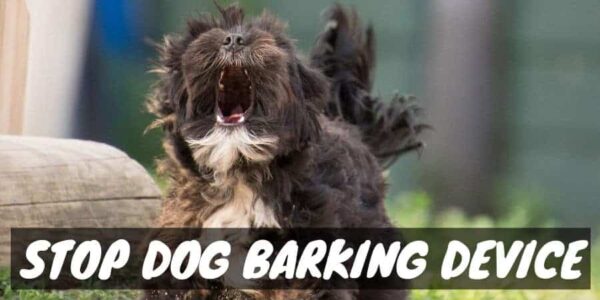 Stop dog barking device