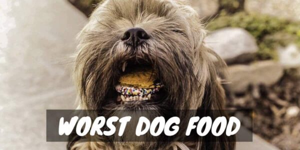 Worst dog food